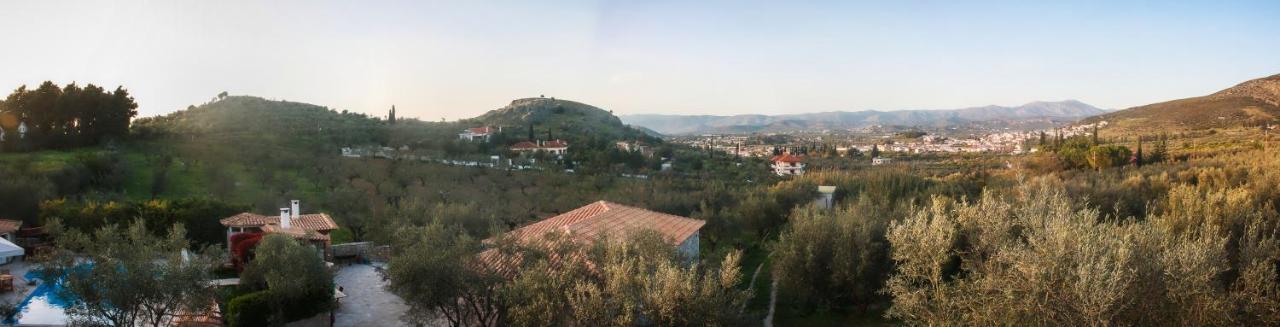 Apartment Theofilos House Nafplio
